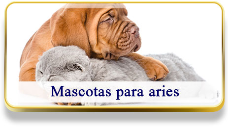 Mascotas para Aries