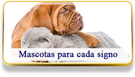 Mascotas para cada signo