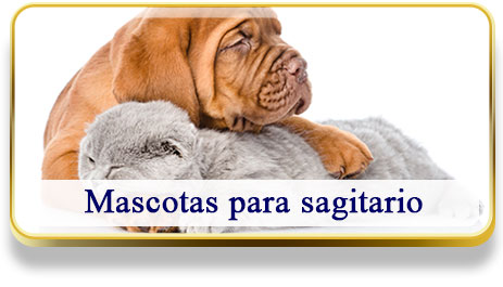 Mascotas para Sagitario